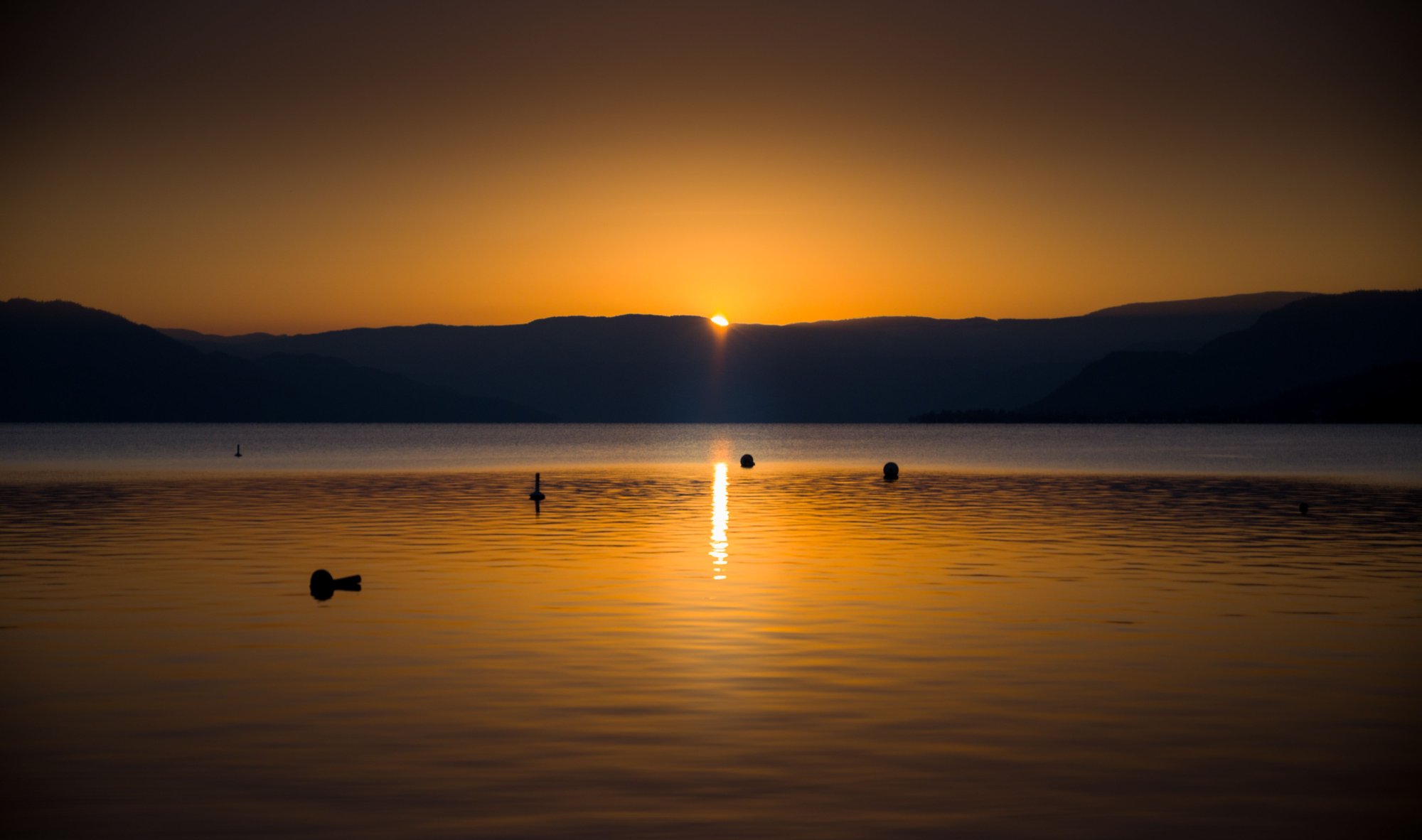 Golden 1